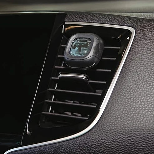 Little Trees - Vent Liquid Air Freshener